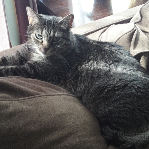 Meet your Posher, Mary - Picture 2 of 2